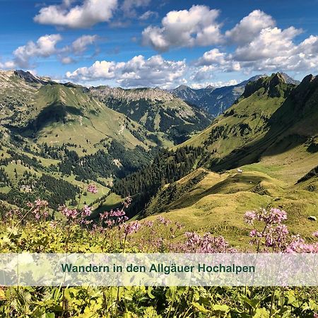 Chalet - Ferienwohnungen - Biohof Stoeger - Panoramasuedbalkon - Grandiose Aussicht Auf See, Berge Und Schloss Neuschwanstein Rieden Eksteriør billede