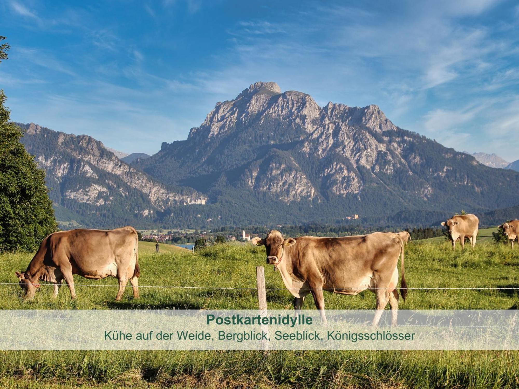 Chalet - Ferienwohnungen - Biohof Stoeger - Panoramasuedbalkon - Grandiose Aussicht Auf See, Berge Und Schloss Neuschwanstein Rieden Eksteriør billede