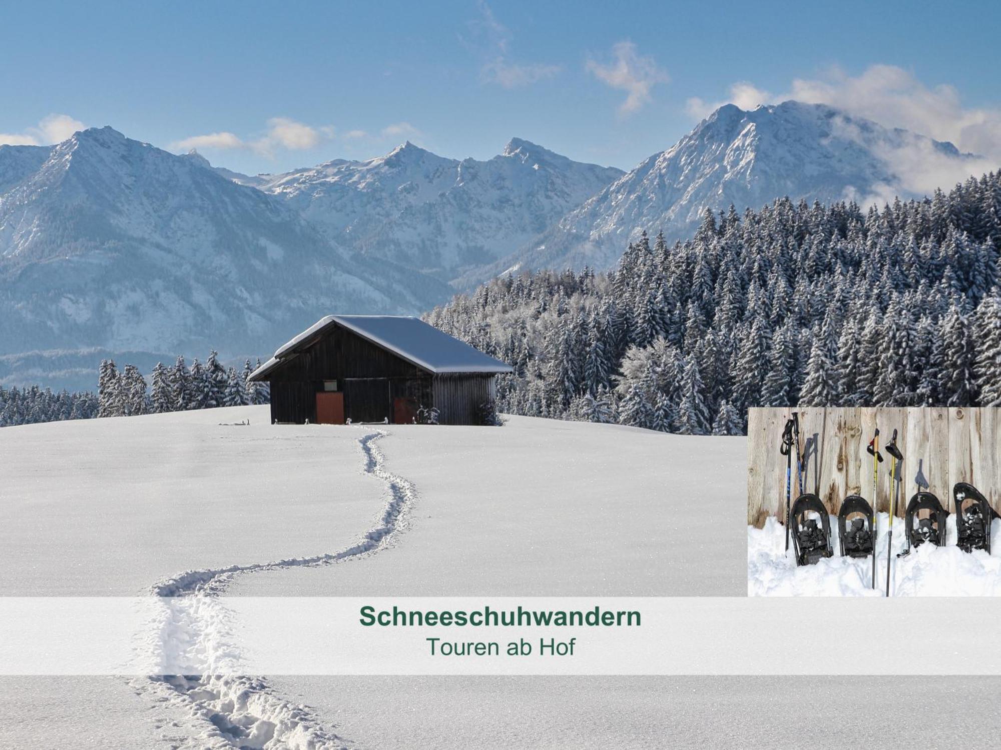 Chalet - Ferienwohnungen - Biohof Stoeger - Panoramasuedbalkon - Grandiose Aussicht Auf See, Berge Und Schloss Neuschwanstein Rieden Eksteriør billede