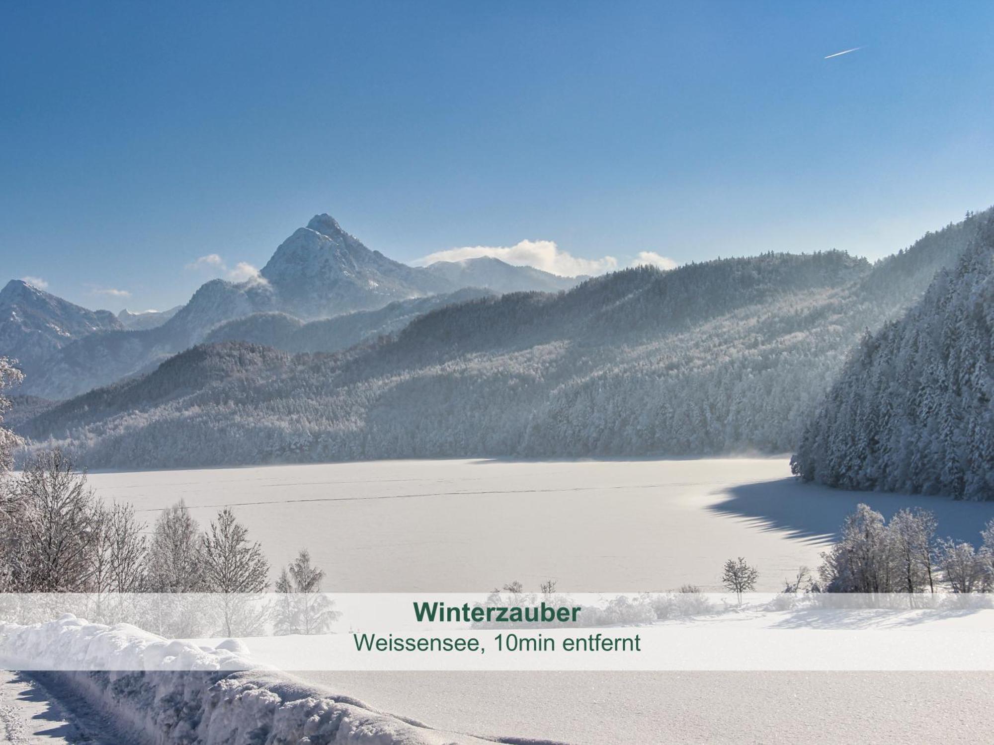 Chalet - Ferienwohnungen - Biohof Stoeger - Panoramasuedbalkon - Grandiose Aussicht Auf See, Berge Und Schloss Neuschwanstein Rieden Eksteriør billede