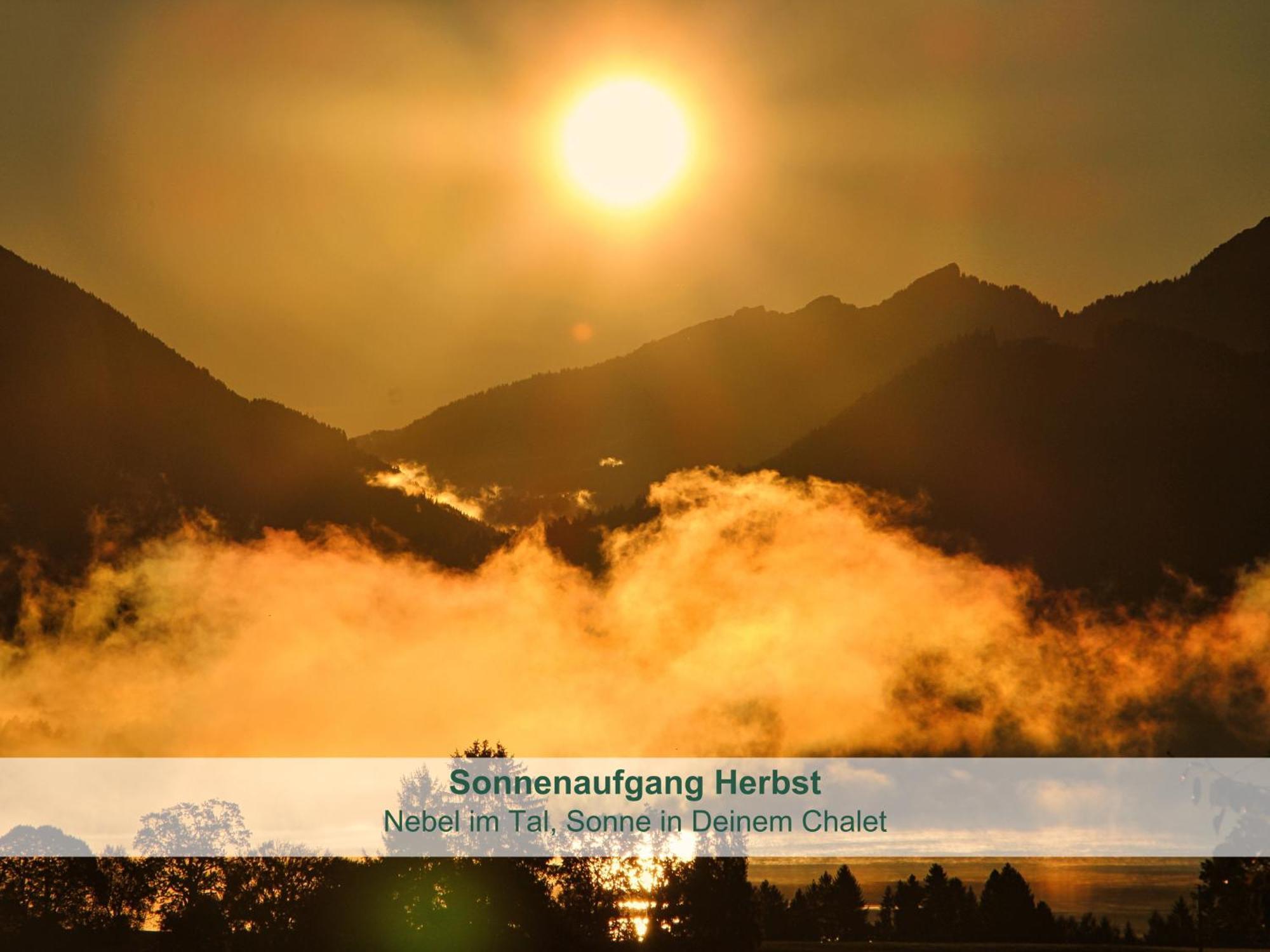 Chalet - Ferienwohnungen - Biohof Stoeger - Panoramasuedbalkon - Grandiose Aussicht Auf See, Berge Und Schloss Neuschwanstein Rieden Eksteriør billede