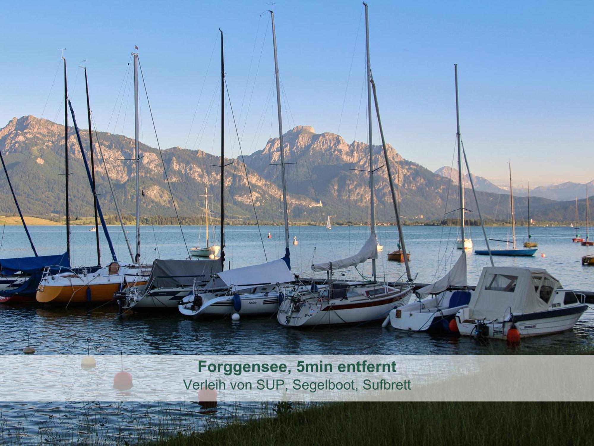 Chalet - Ferienwohnungen - Biohof Stoeger - Panoramasuedbalkon - Grandiose Aussicht Auf See, Berge Und Schloss Neuschwanstein Rieden Eksteriør billede